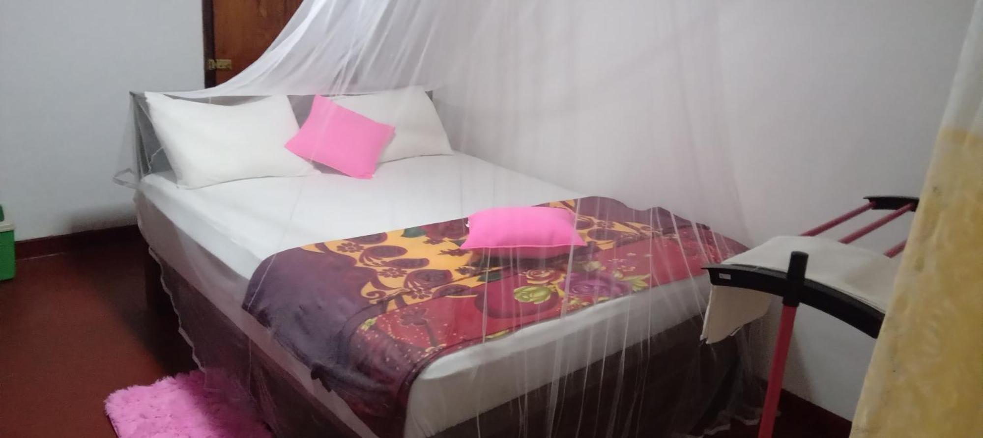 דניאיאה Rainforest Holiday Inn חדר תמונה