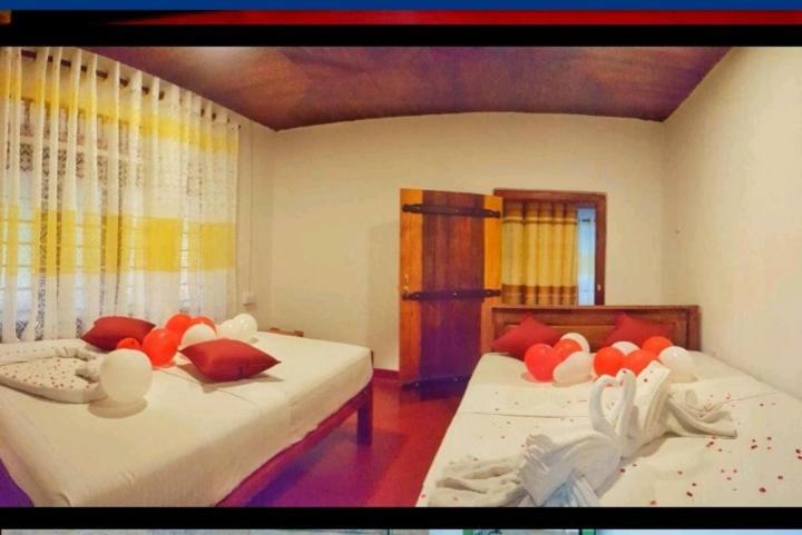 דניאיאה Rainforest Holiday Inn מראה חיצוני תמונה